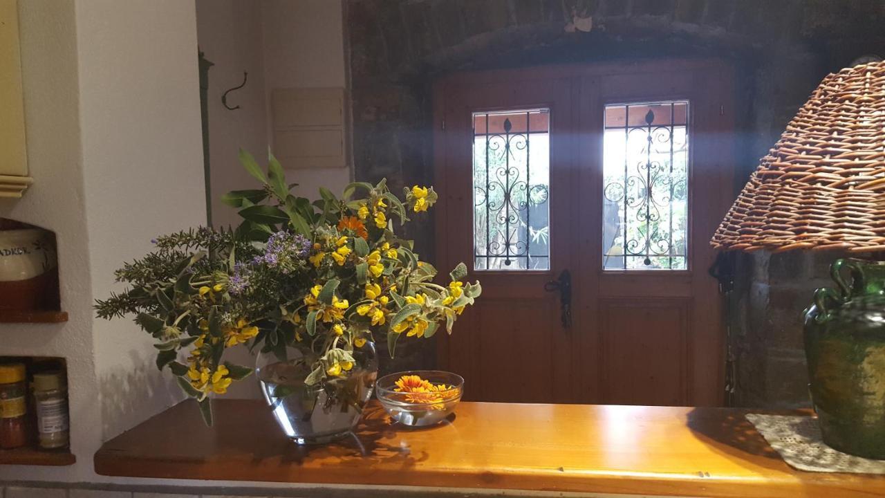 Istrian Stone House Villa Sečovlje Buitenkant foto